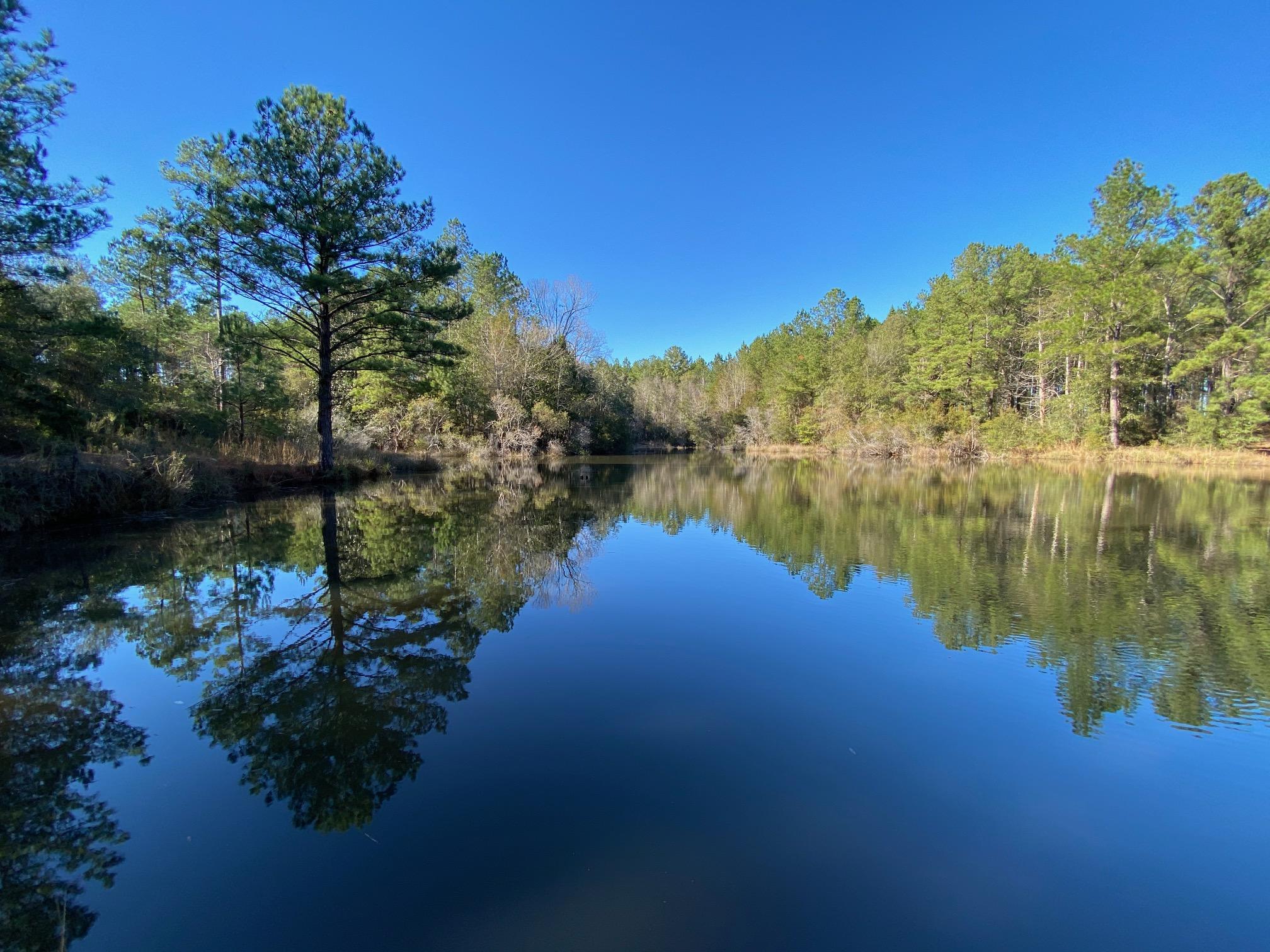 16.9-ac Creston Barrow Road Baker, FL 32531 - Photo 1 of 13 a lake view with mountain view