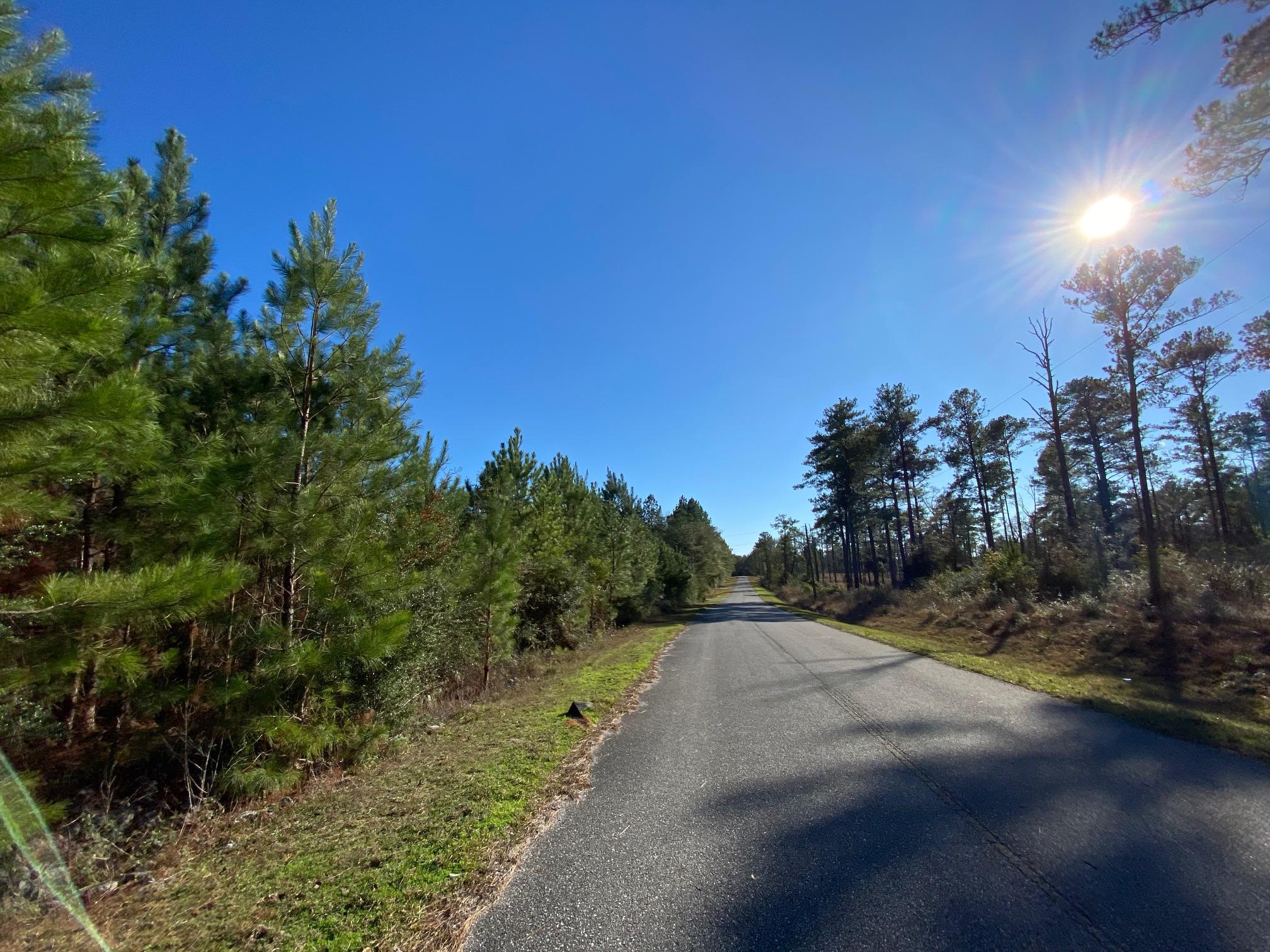 16.9-ac Creston Barrow Road Baker, FL 32531 - Photo 2 of 13 a view of a road with a yard