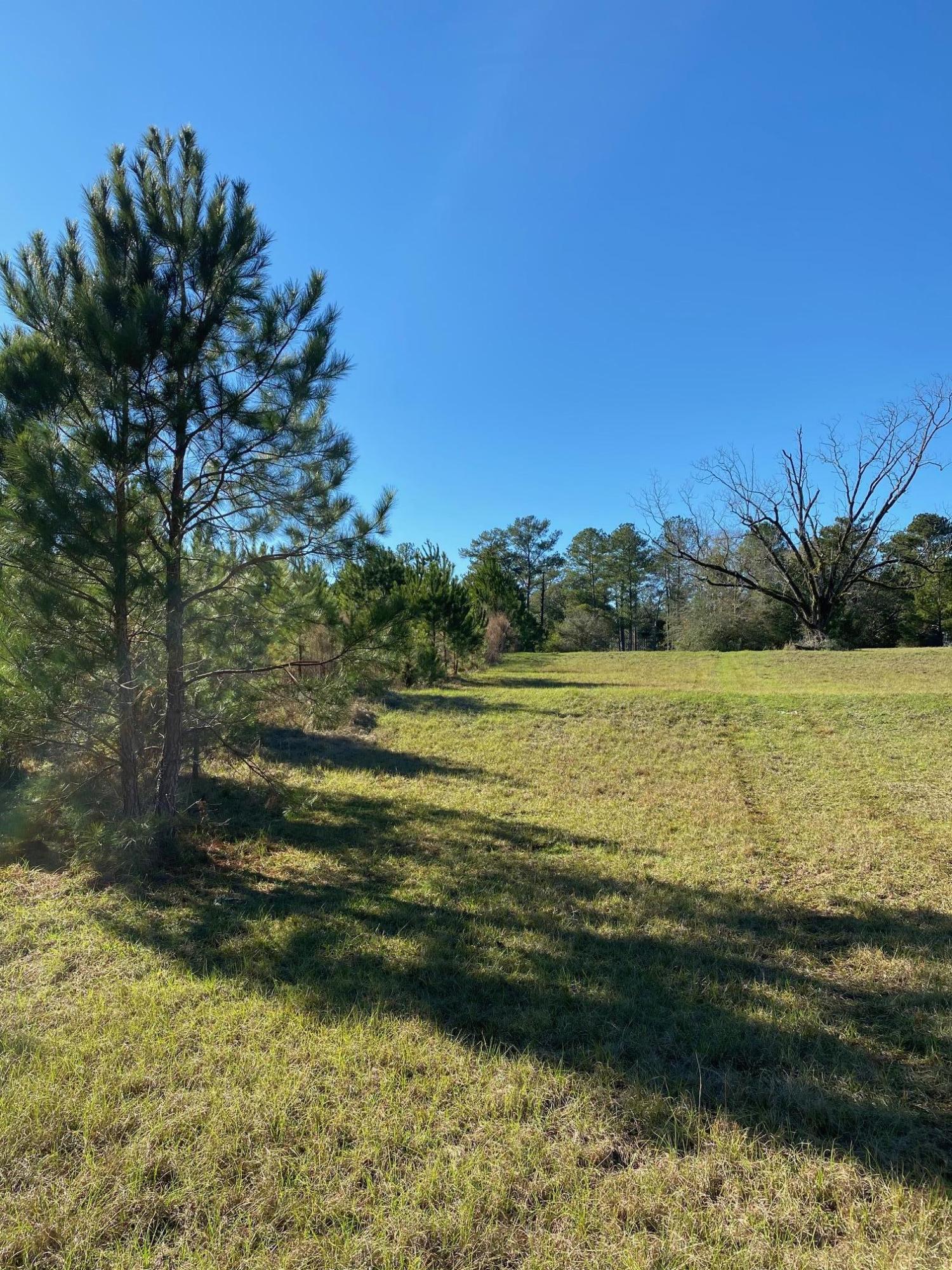 16.9-ac Creston Barrow Road Baker, FL 32531 - Photo 3 of 13 a view of a ocean view