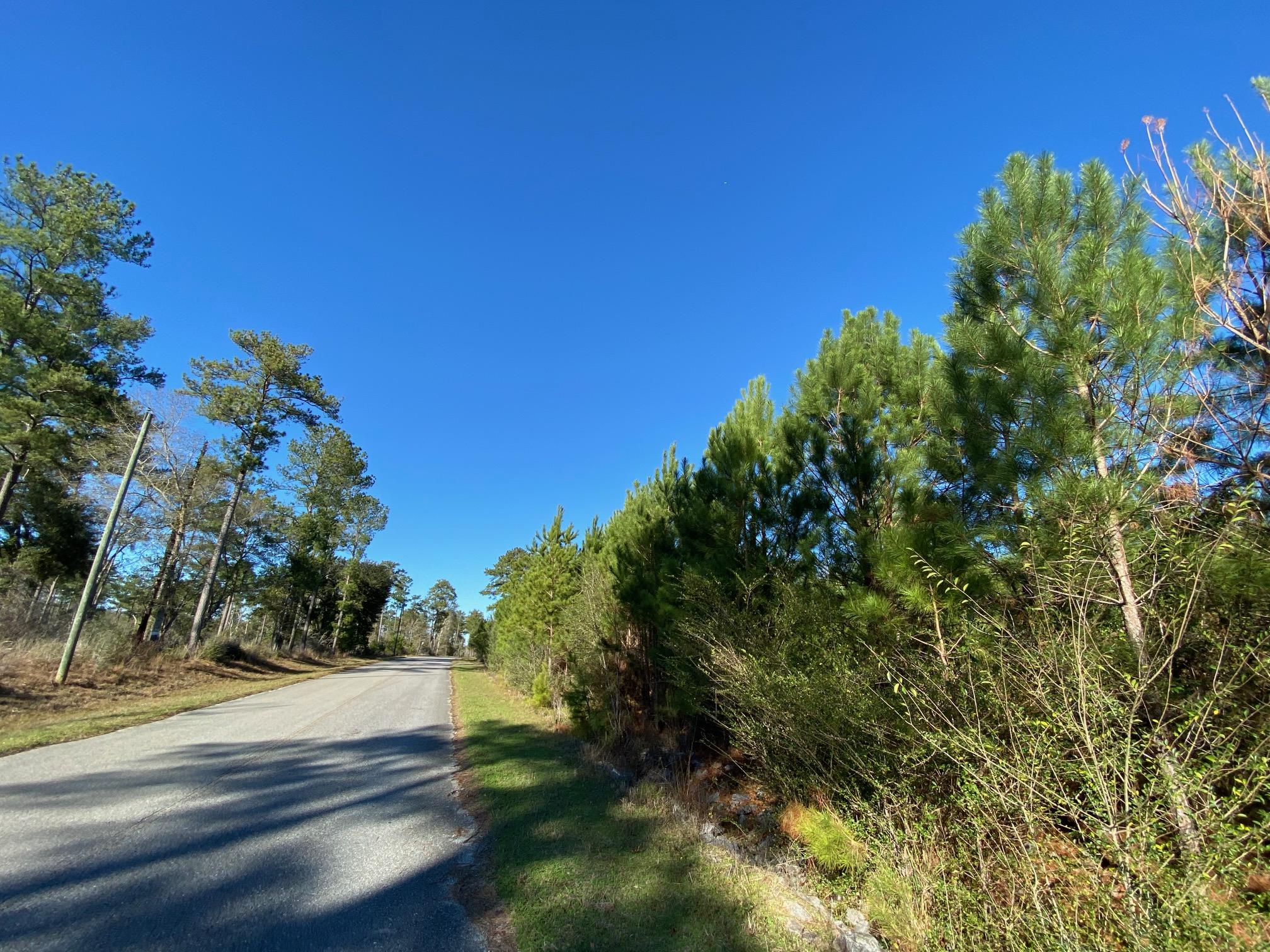 16.9-ac Creston Barrow Road Baker, FL 32531 - Photo 4 of 13 a view of a yard