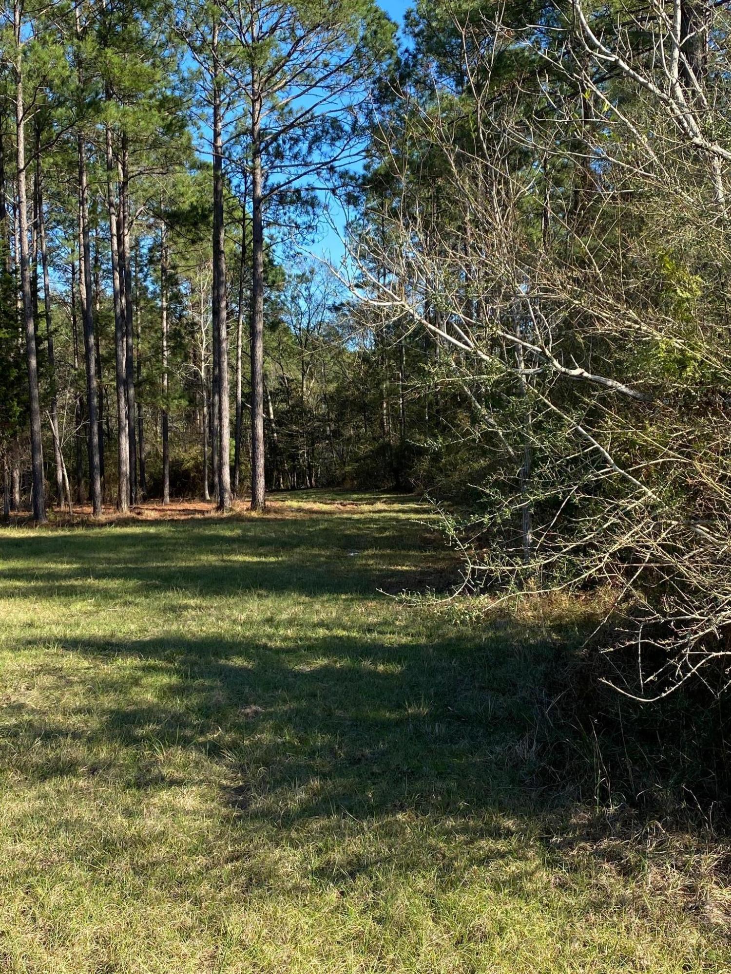 16.9-ac Creston Barrow Road Baker, FL 32531 - Photo 5 of 13 a view of a park