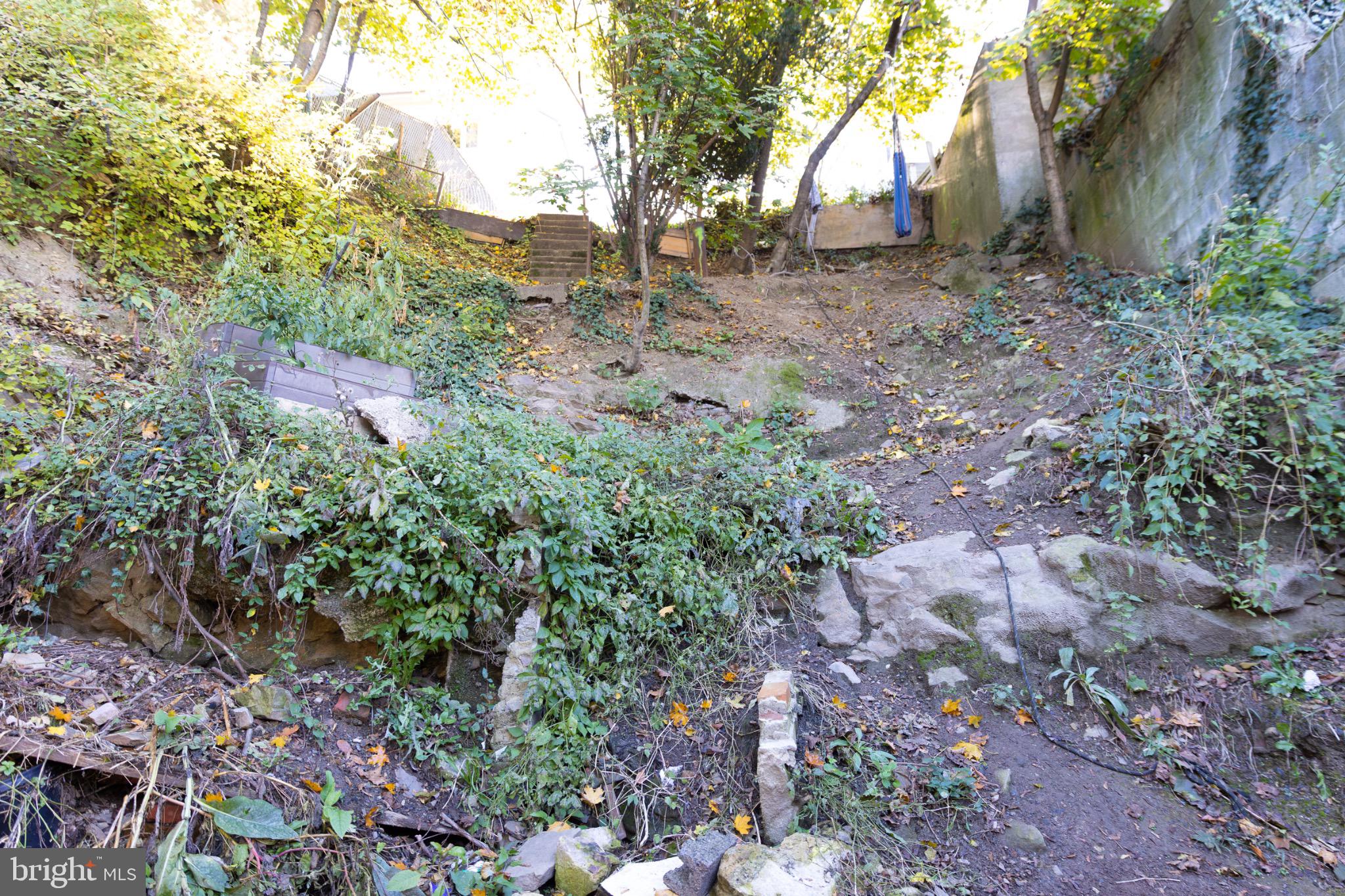 231 Laurel Street Minersville, PA 17954 - Photo 13 of 22 Lush hillside retreat awaiting transformation.