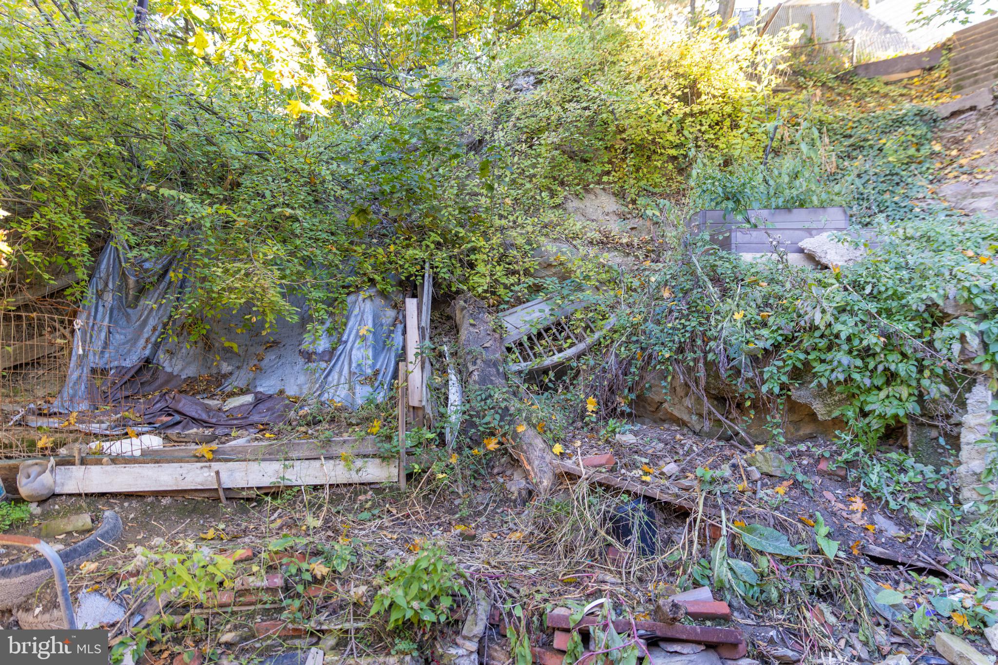 231 Laurel Street Minersville, PA 17954 - Photo 14 of 22 Overgrown hillside with remnants of nature.