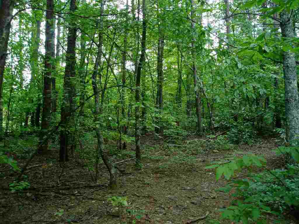 0 Kami Road, Unit LOT B SW SIDE LOST VALLE Pickens, SC 29671 - Photo 3 of 4