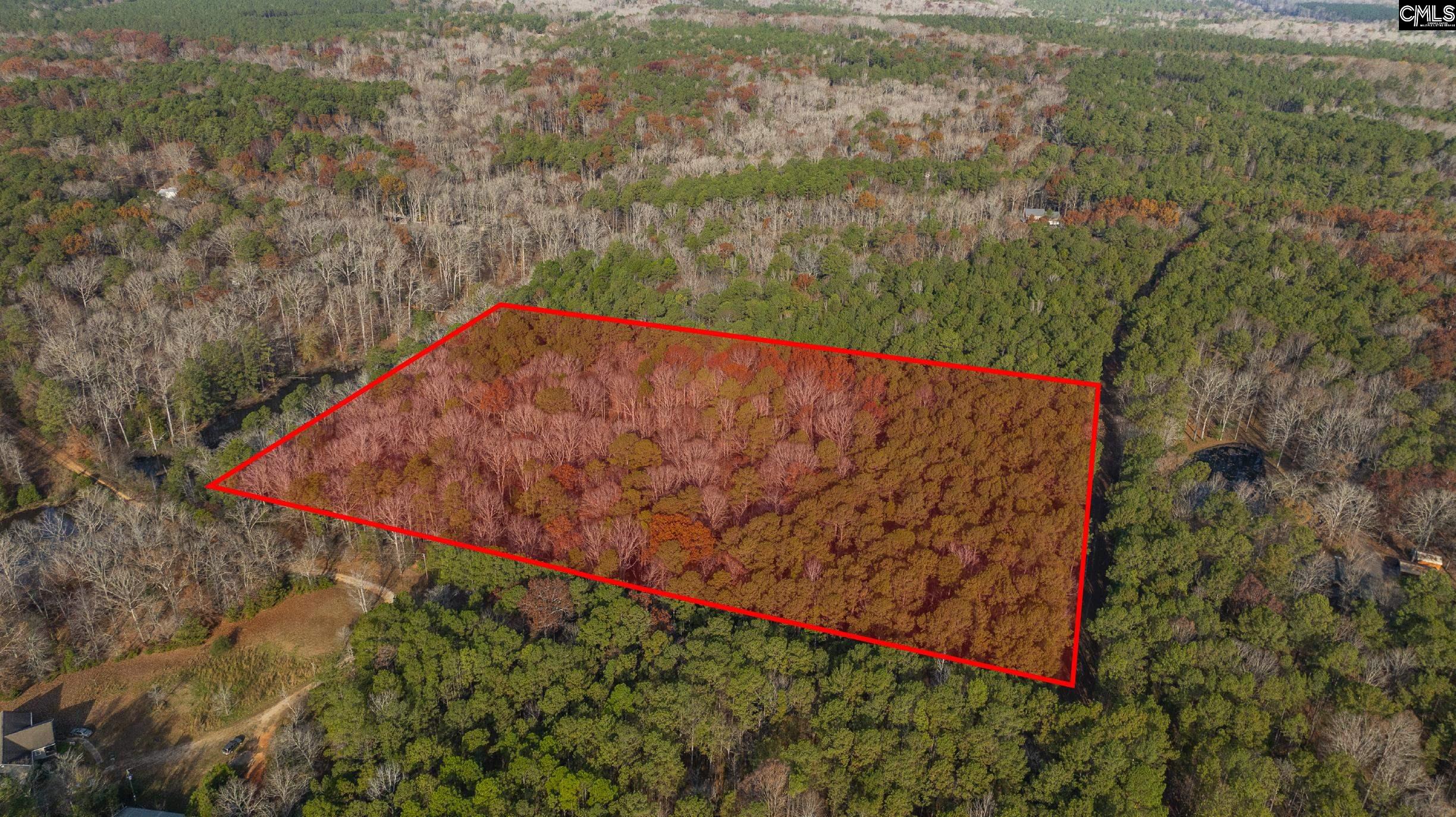 Ne South Muddy Ford Road Little Mountain, SC 29075 - Photo 2 of 3