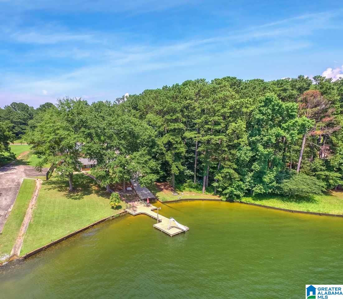 395 Rabbit Point Road Cropwell, AL 35054 - Photo 15 of 45