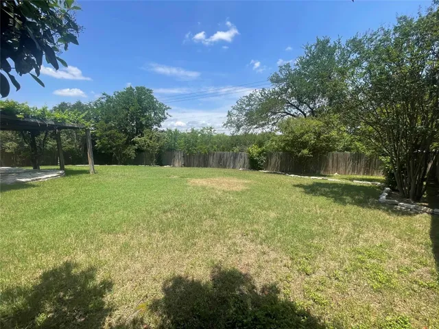 a view of a garden with a tree