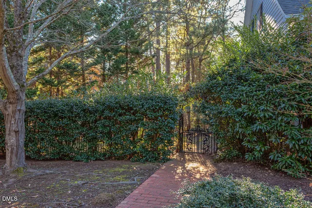 a view of a yard with trees