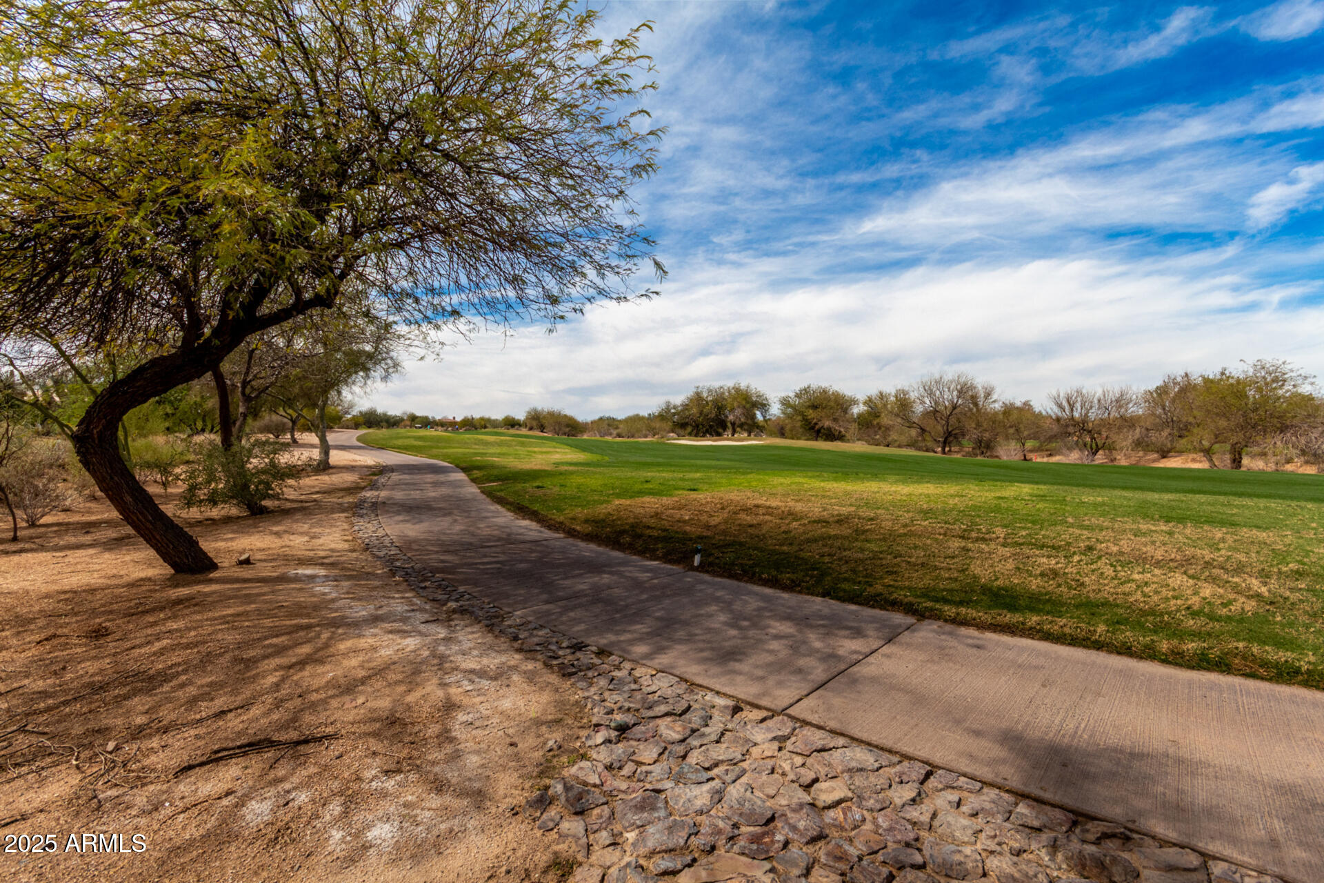 18610 Amarado Circle Rio Verde, AZ 85263 - Photo 46 of 58 a view of an outdoor space with yard
