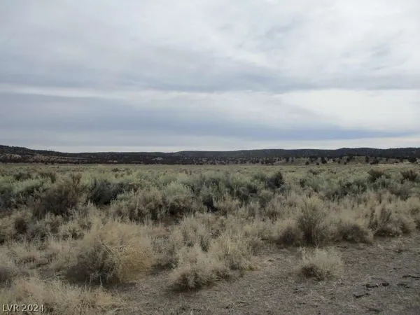 $847,500 | Eagle Valley Road, Pioche, NV 89043