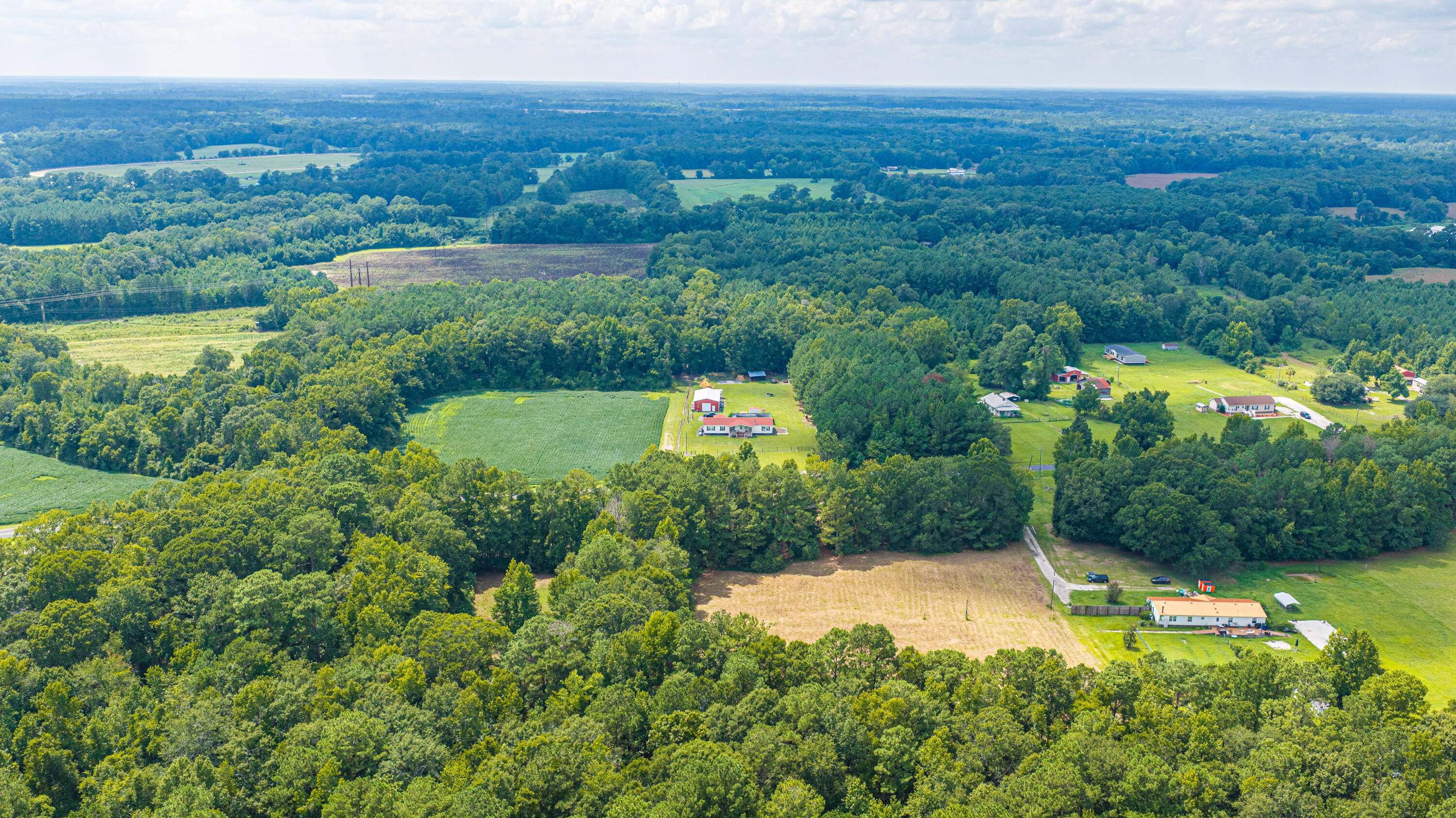 239 State Rd S-38-1610 Holly Hill, SC 29059 - Photo 70 of 86 239BelfastAve019