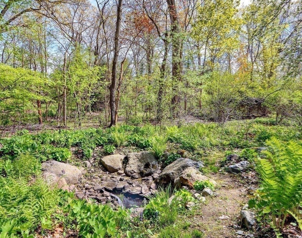 281 South Great Road Lincoln, MA 01773 - Photo 26 of 33