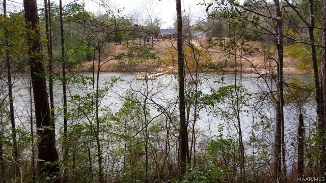 Tbd Spring Creek Road Geneva, AL 36340 - Photo 7 of 11 Gallery Image 7