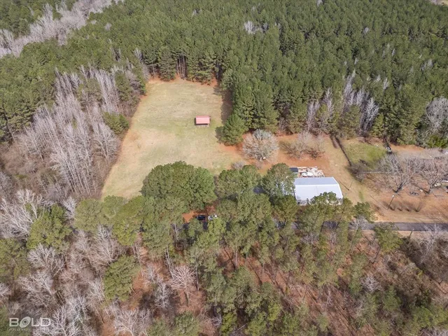 a view of a yard with trees
