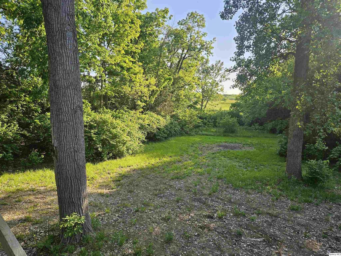 9606 Rock Quarry Road Quincy, IL 62305 - Photo 3 of 11 a view of an outdoor space with a lake view