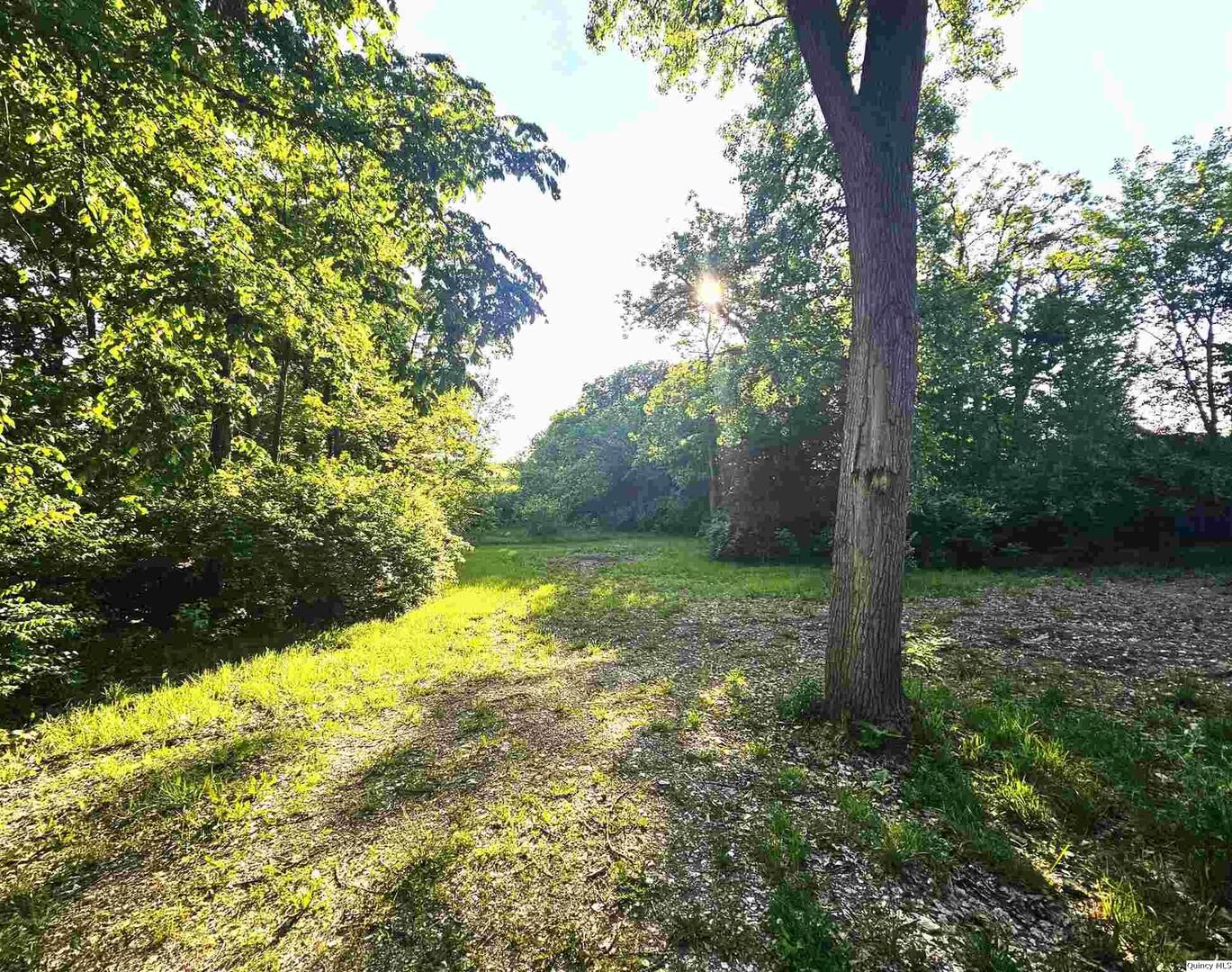 9606 Rock Quarry Road Quincy, IL 62305 - Photo 4 of 11 a view of backyard with green space