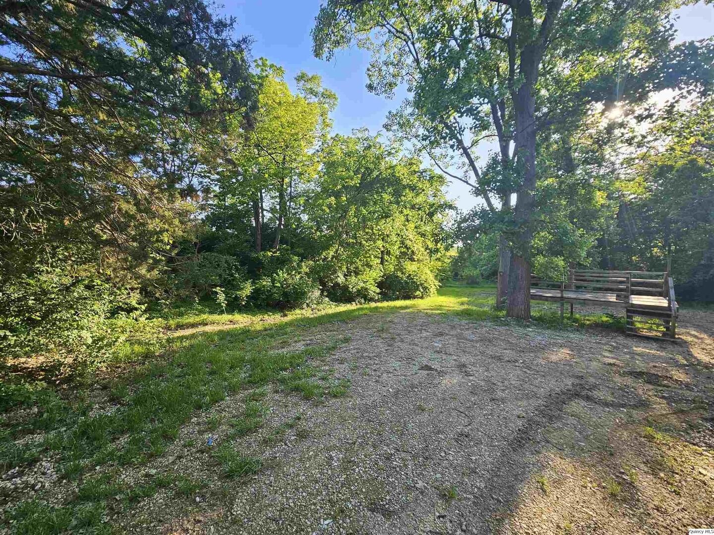 9606 Rock Quarry Road Quincy, IL 62305 - Photo 8 of 11 a backyard of a house with plants and large trees
