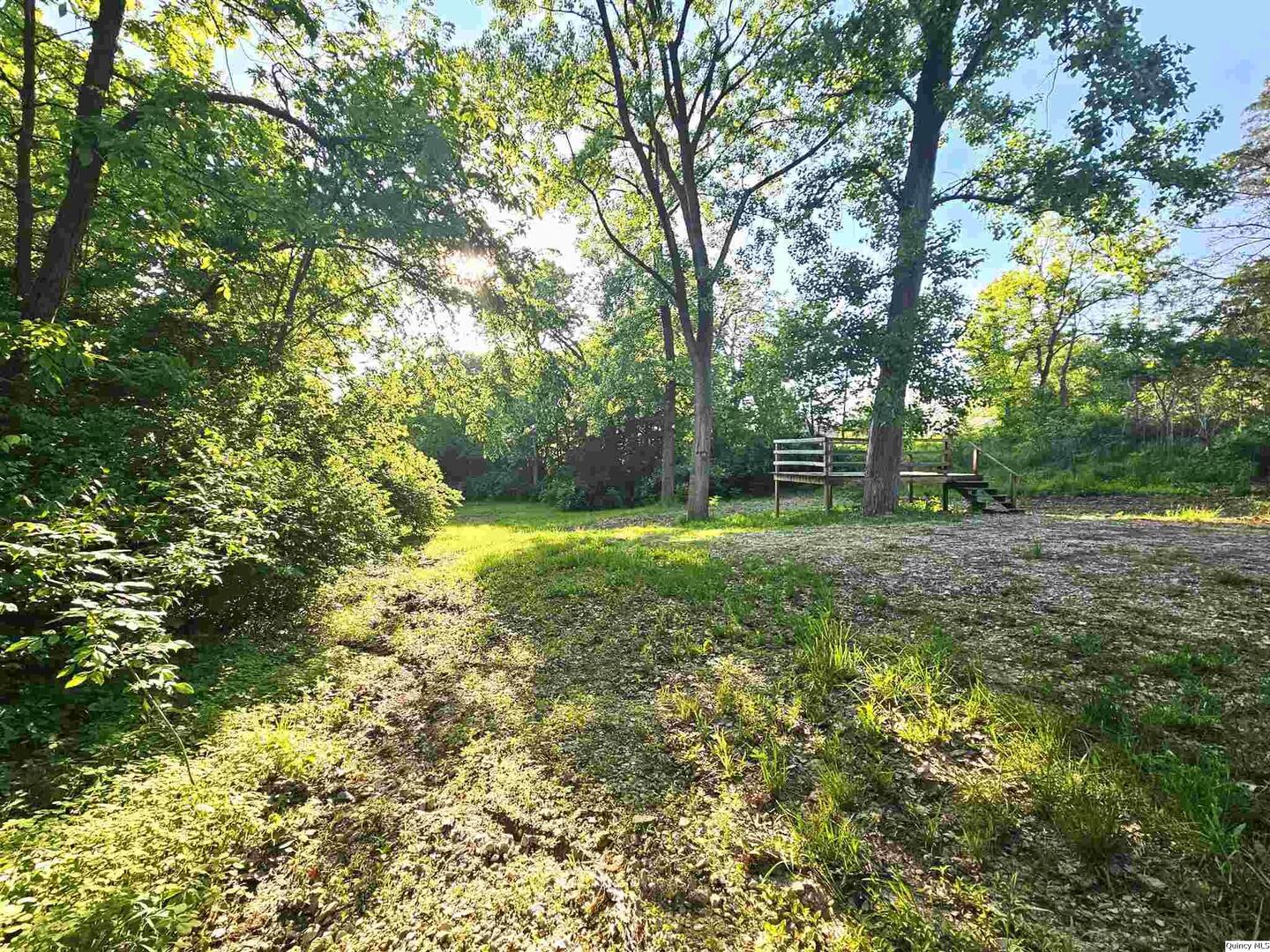 9606 Rock Quarry Road Quincy, IL 62305 - Photo 9 of 11 a view of yard with trees