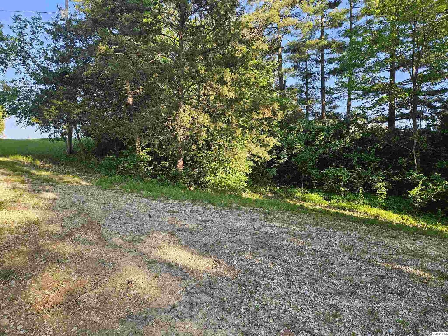 9606 Rock Quarry Road Quincy, IL 62305 - Photo 10 of 11 a view of a yard with a tree