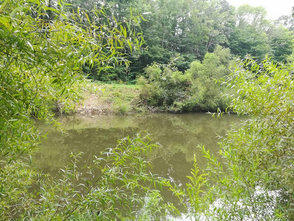3640 Co Road Somerset, OH 43783 - Photo 14 of 31