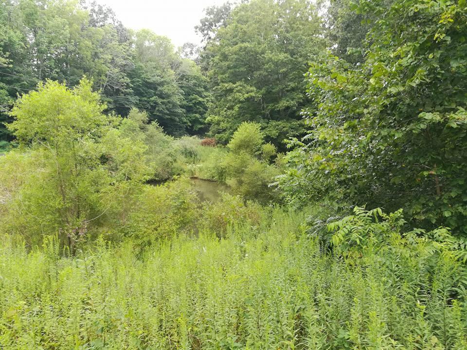 3640 Co Road Somerset, OH 43783 - Photo 15 of 31