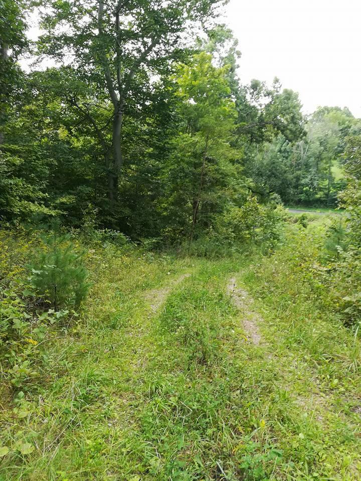 3640 Co Road Somerset, OH 43783 - Photo 16 of 31