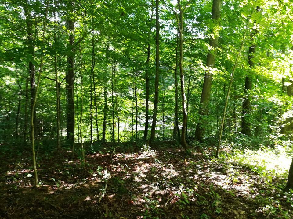 3640 Co Road Somerset, OH 43783 - Photo 18 of 31