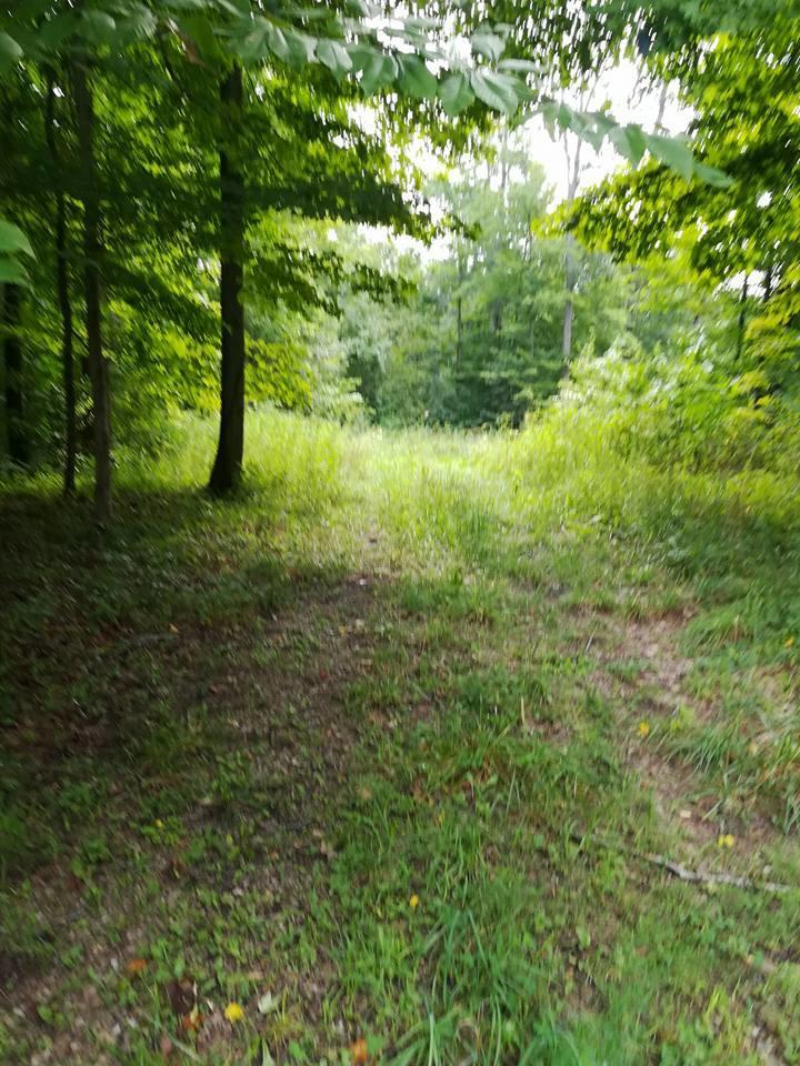 3640 Co Road Somerset, OH 43783 - Photo 19 of 31