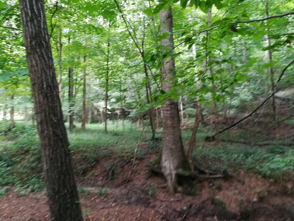 3640 Co Road Somerset, OH 43783 - Photo 2 of 31