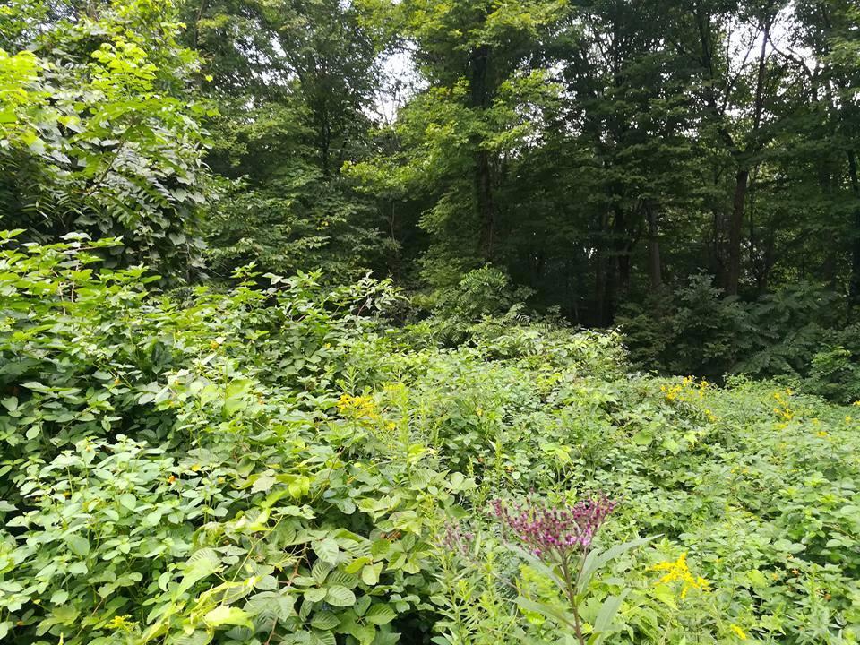 3640 Co Road Somerset, OH 43783 - Photo 21 of 31