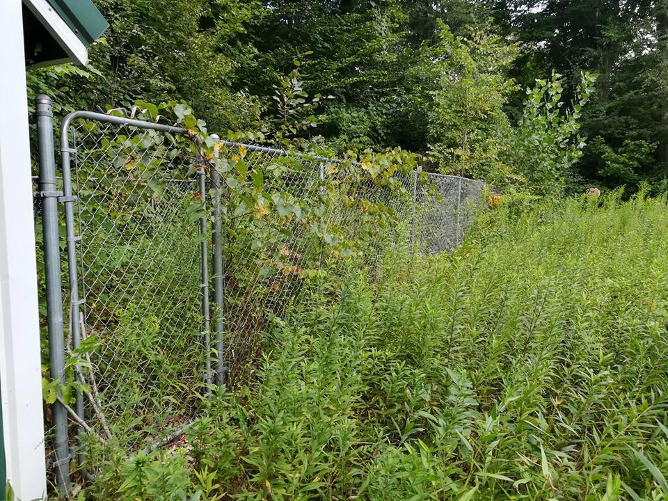 3640 Co Road Somerset, OH 43783 - Photo 22 of 31