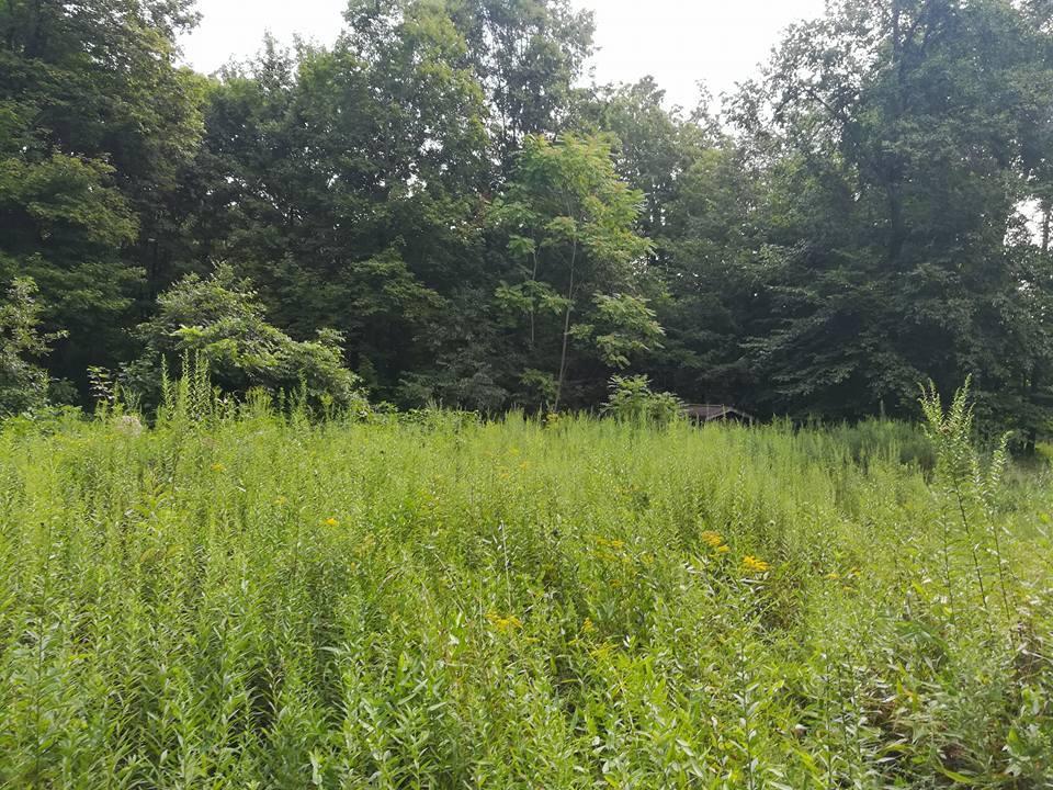 3640 Co Road Somerset, OH 43783 - Photo 24 of 31