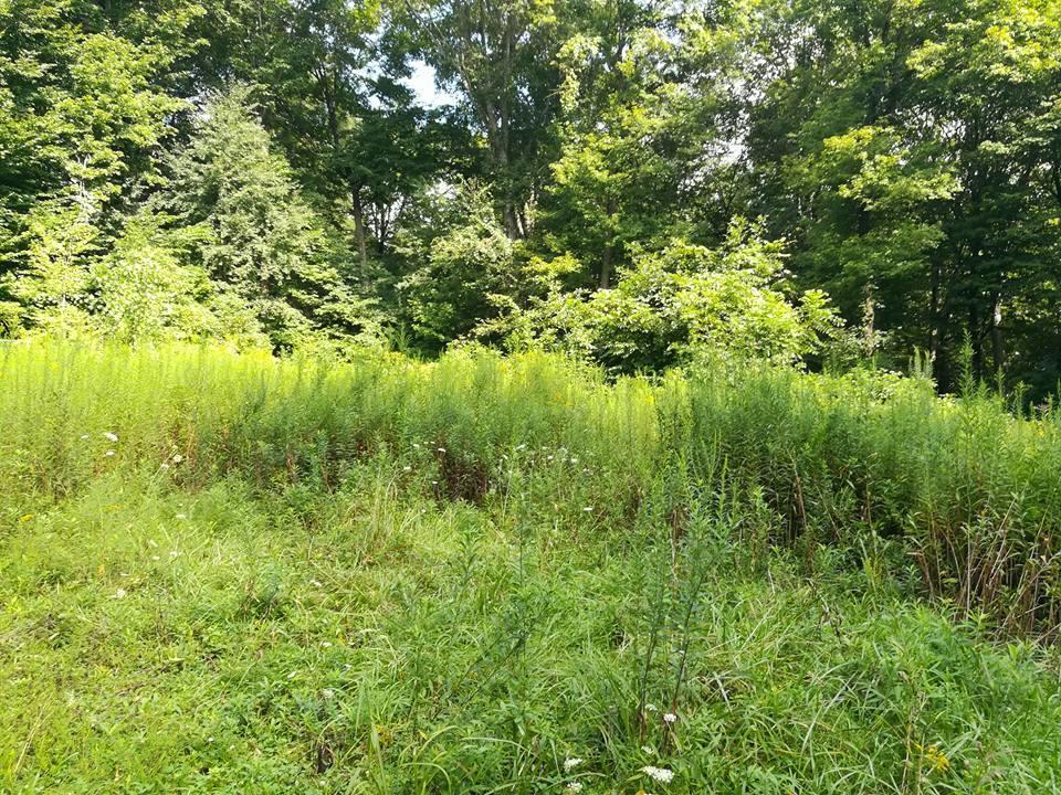 3640 Co Road Somerset, OH 43783 - Photo 25 of 31
