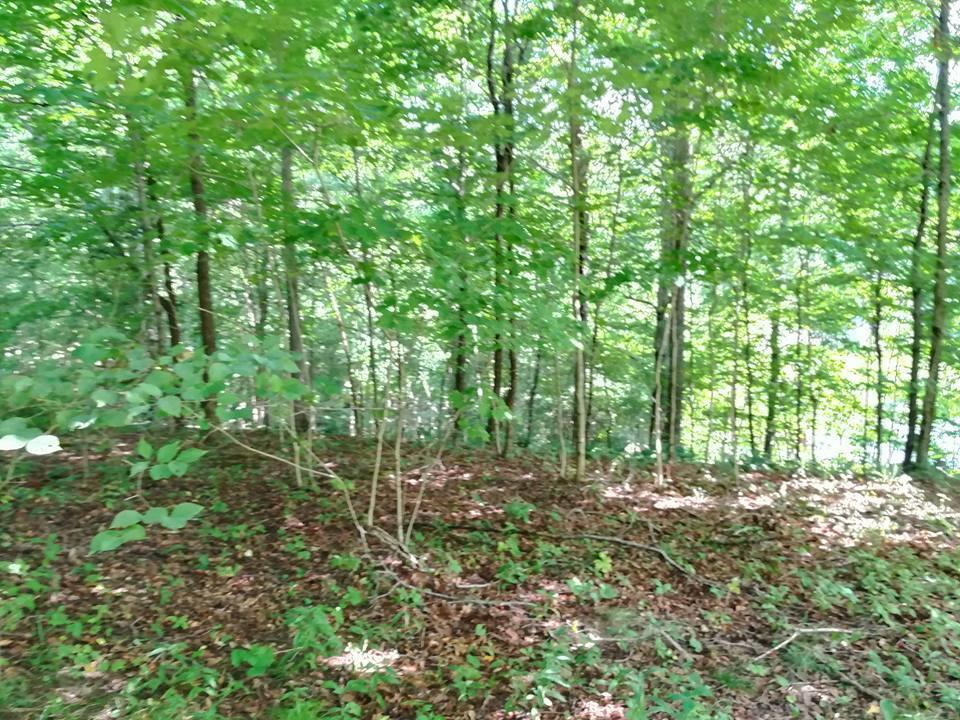 3640 Co Road Somerset, OH 43783 - Photo 26 of 31