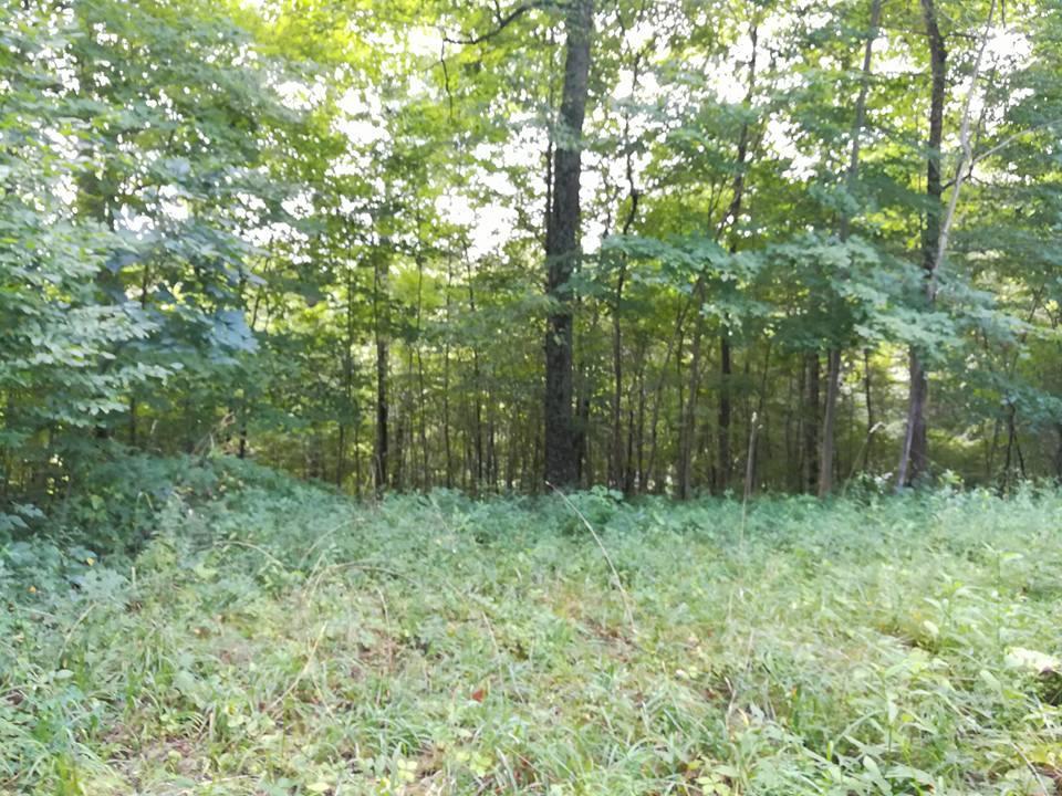 3640 Co Road Somerset, OH 43783 - Photo 27 of 31