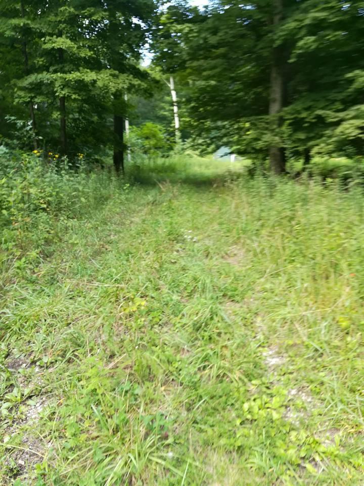 3640 Co Road Somerset, OH 43783 - Photo 28 of 31