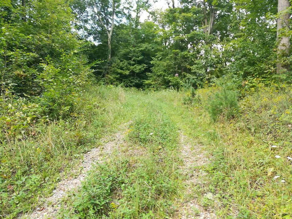 3640 Co Road Somerset, OH 43783 - Photo 29 of 31