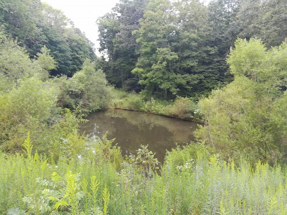 3640 Co Road Somerset, OH 43783 - Photo 30 of 31