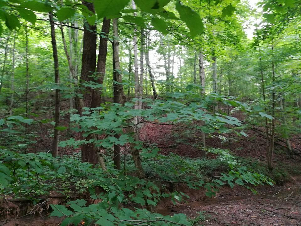 3640 Co Road Somerset, OH 43783 - Photo 3 of 31