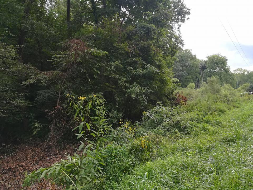 3640 Co Road Somerset, OH 43783 - Photo 6 of 31