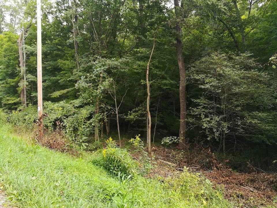 3640 Co Road Somerset, OH 43783 - Photo 7 of 31