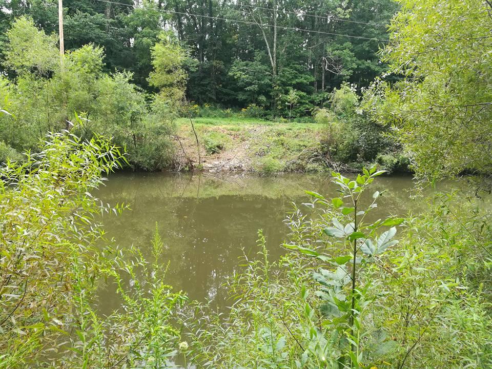 3640 Co Road Somerset, OH 43783 - Photo 10 of 31