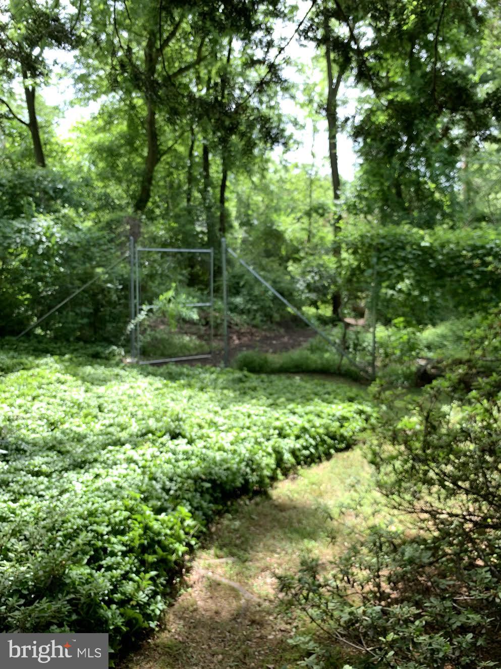 94 Rosedale Road Princeton, NJ 08540 - Photo 54 of 63 In far left corner of back yard gate to path .