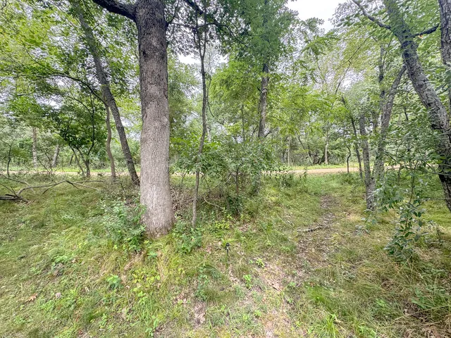 a big yard with lots of green space and trees