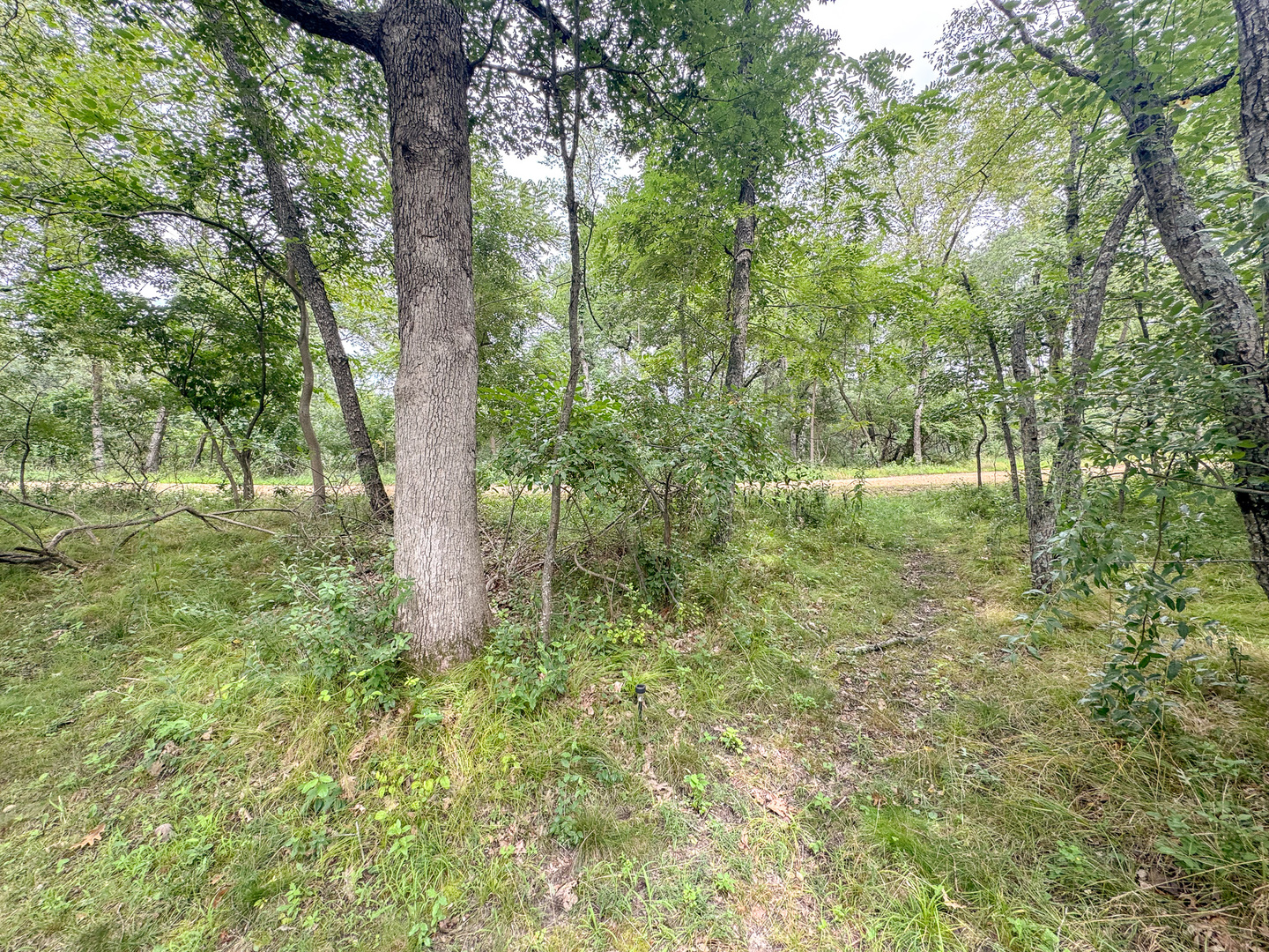2-24 Woodhaven Sublette, IL 61367 - Photo 6 of 17 a big yard with lots of green space and trees