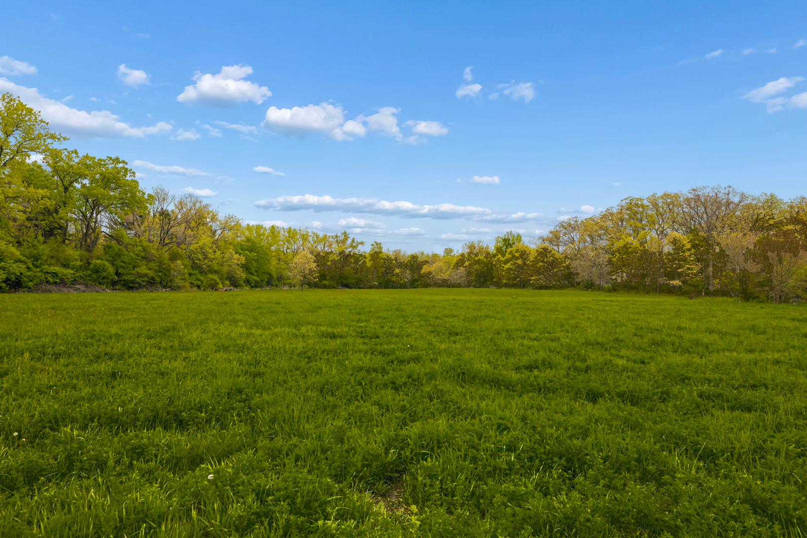 931 East Steger Road Steger, IL 60475 - Photo 9 of 53