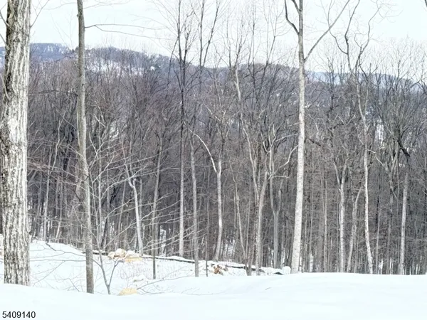 $750,000 | 8 Bristol Ridge, Boonton, NJ 07005