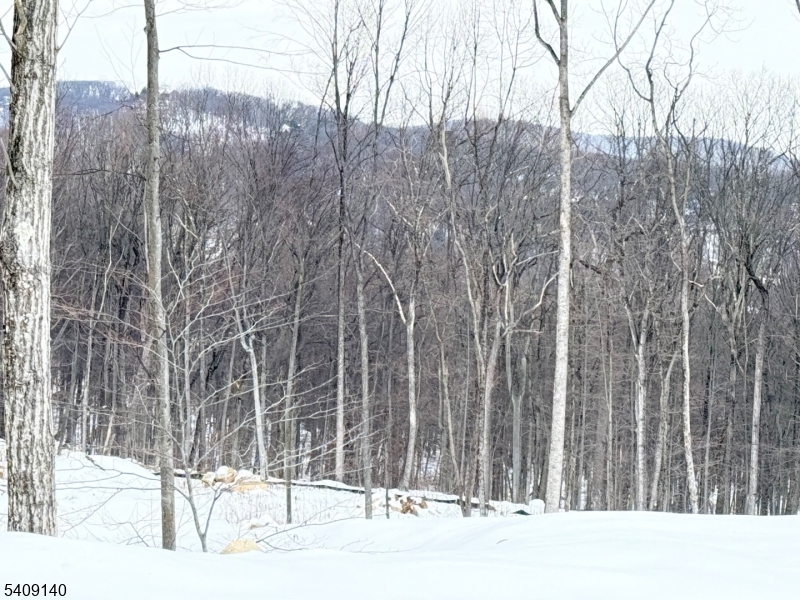 8 Bristol Ridge Boonton, NJ 07005 - Photo 2 of 2 a black white house with a trees in the background