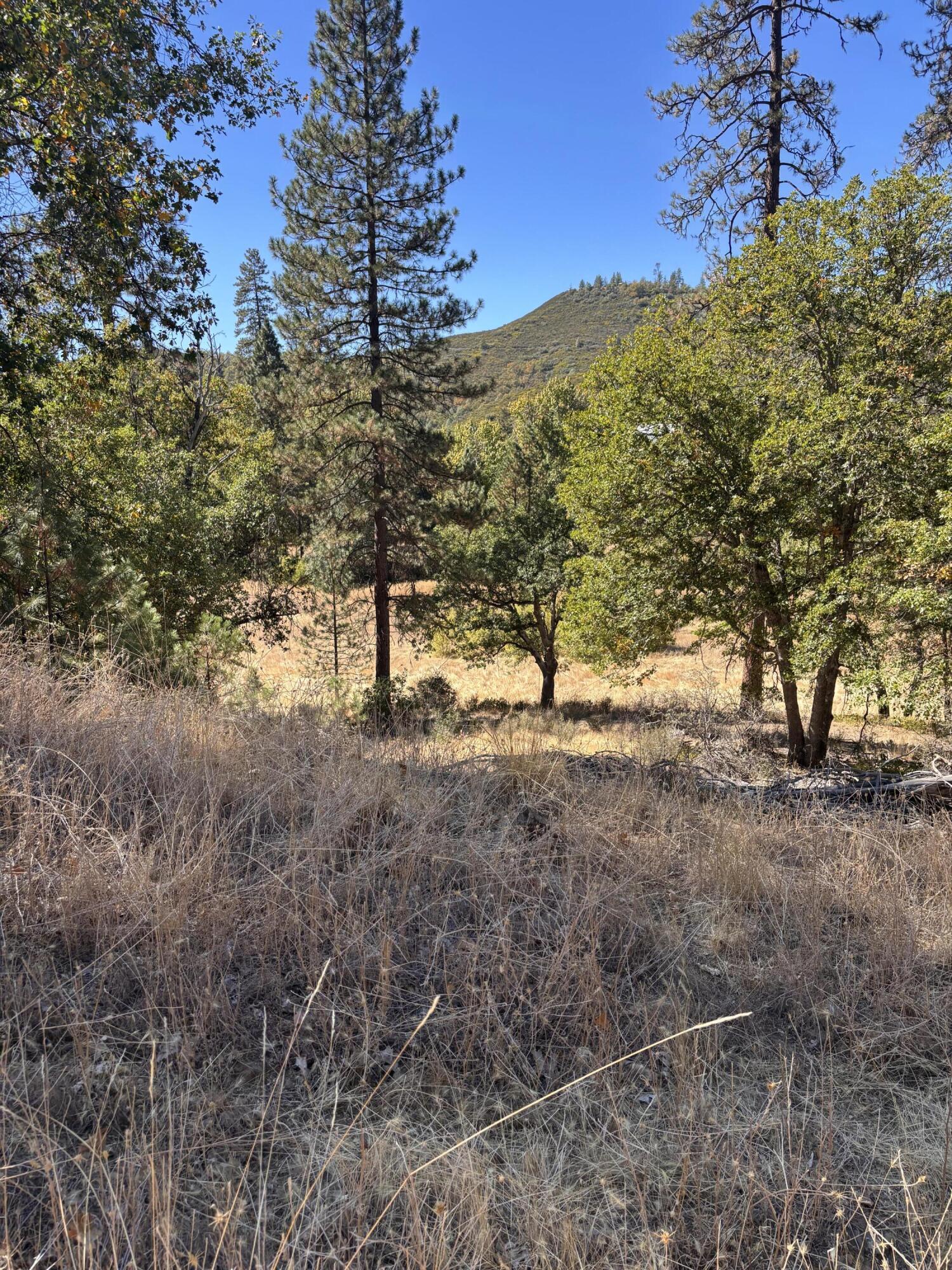 775 Barker Valley Road Hayfork, CA 96041 - Photo 22 of 41 Tier to Upper property