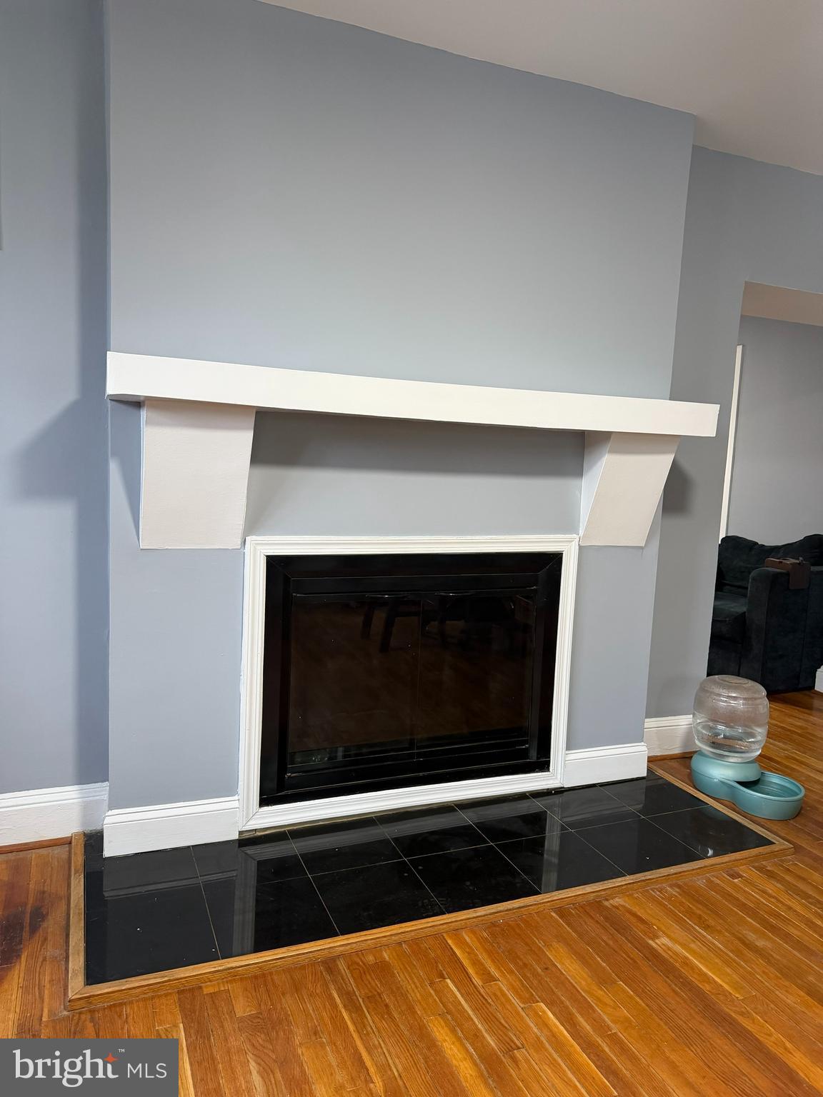 3901 West Cold Spring Lane Baltimore, MD 21215 - Photo 32 of 38 Fireplace